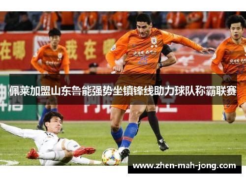佩莱加盟山东鲁能强势坐镇锋线助力球队称霸联赛