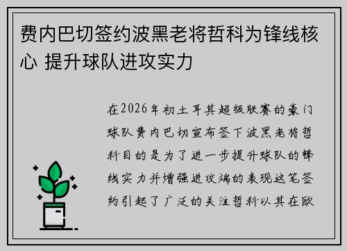 费内巴切签约波黑老将哲科为锋线核心 提升球队进攻实力
